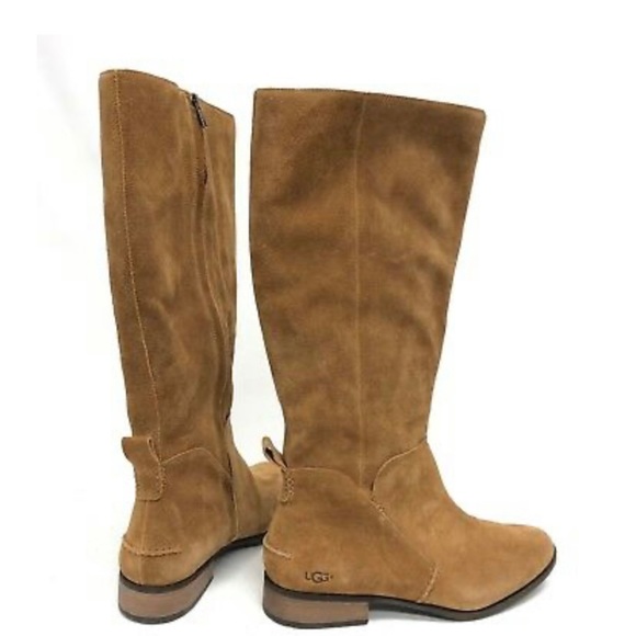 CLEARANCE!! UGG NWOT TALL SUEDE RIDING BOOT CHESTNUT SZ 5 - Picture 4 of 5